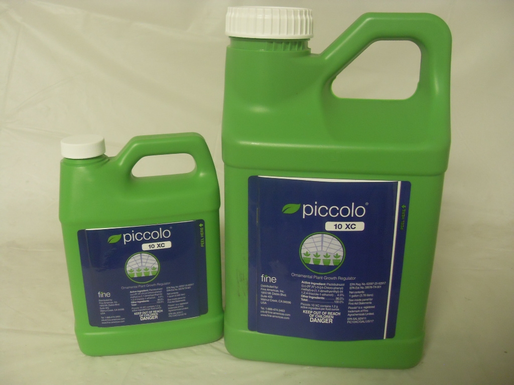 Piccolo 10XC PGR - Qt - Gallon