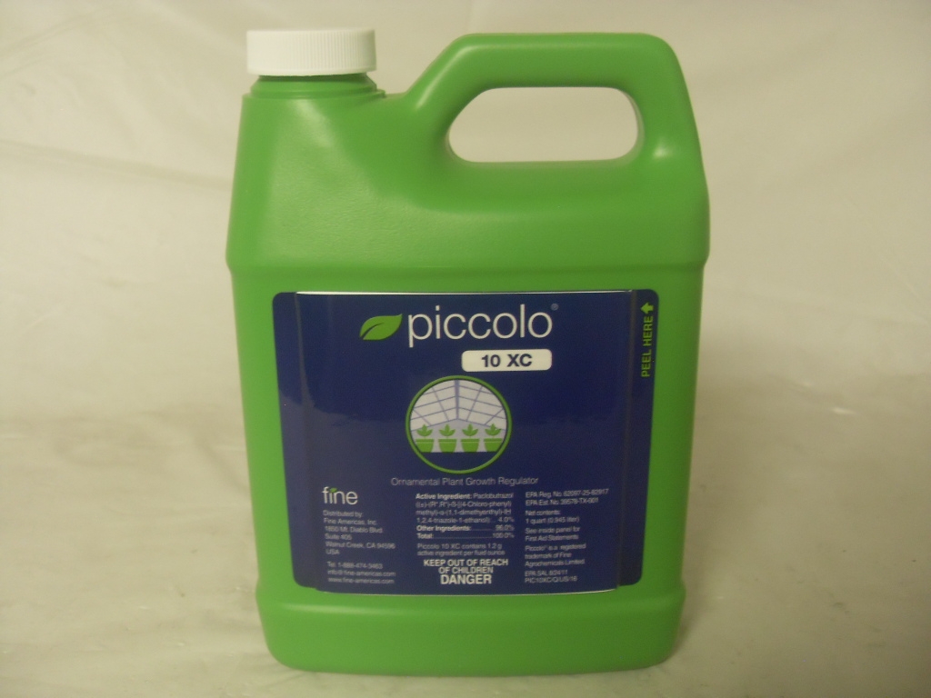 Piccolo 10XC PGR - Qt - Gallon