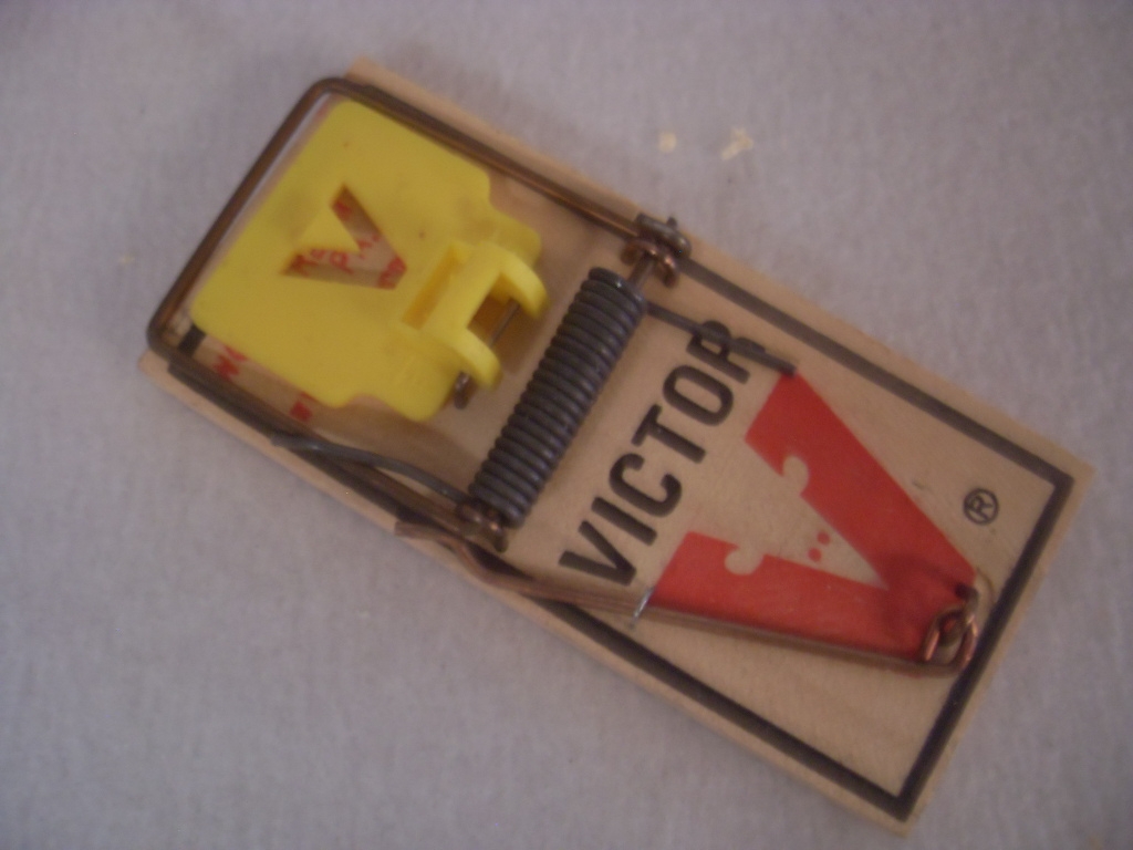 Victor Mouse Traps M325 - 12 Snap Traps