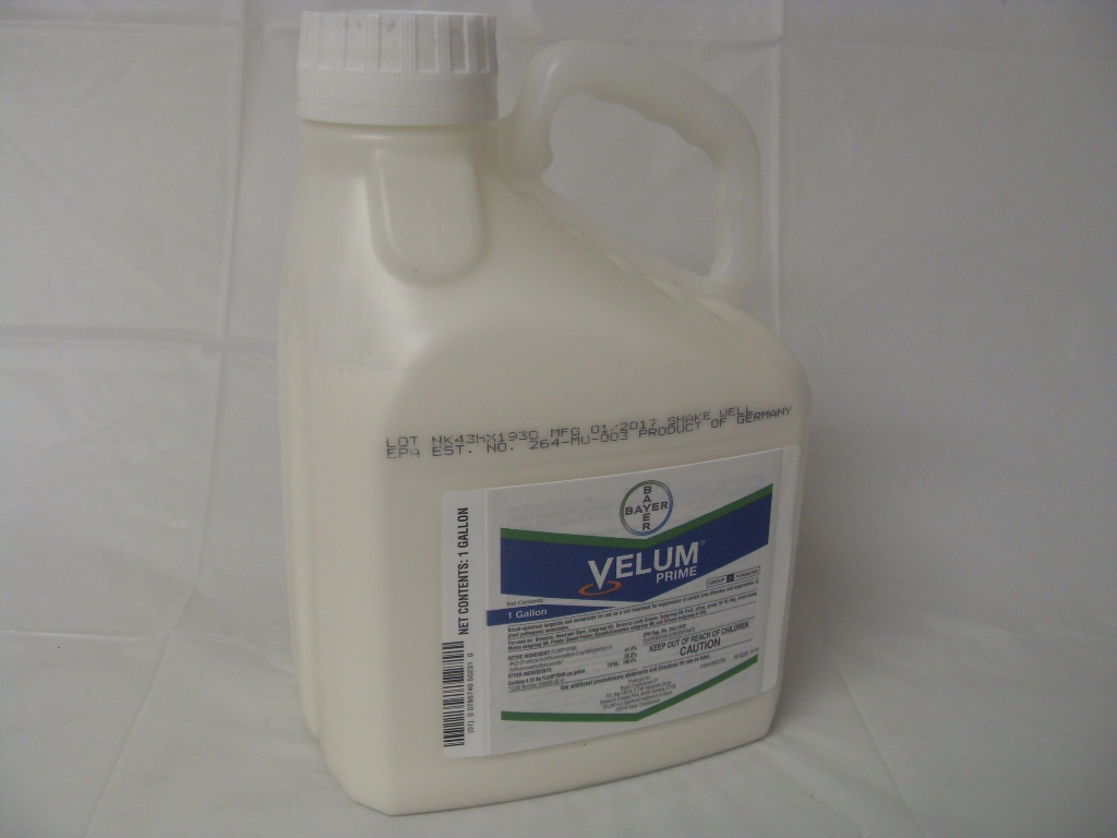 Velum Prime Insecticide Fluopyram for Potato - Gal