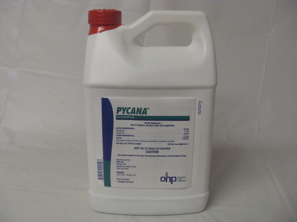 Pycana Insecticide Miticide - Gallon