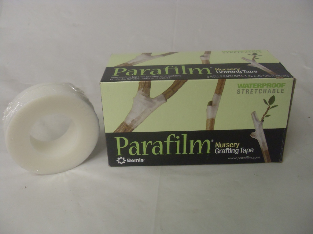 Parafilm Grafting Tape - 0.5" - 1" Wide