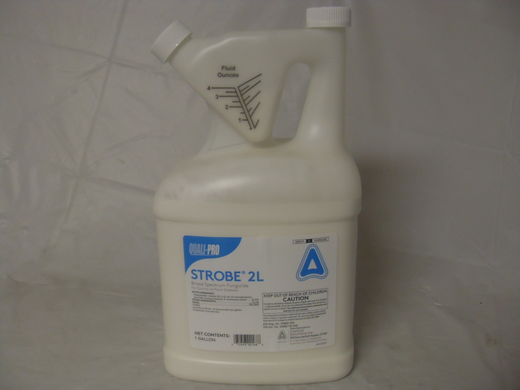 Strobe 2L Broad Spectrum Fungicide - Gallon