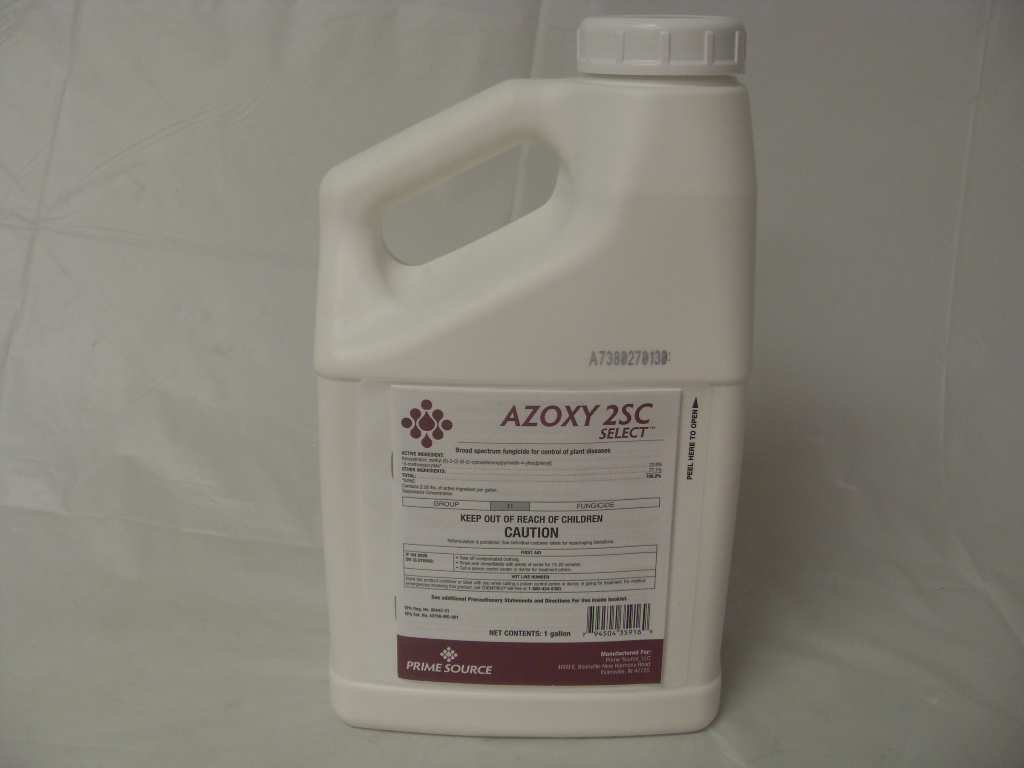 Strobe 2L Broad Spectrum Fungicide - Gallon