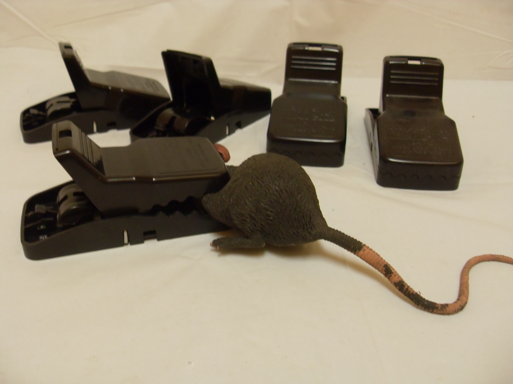 Trapper Mini T-REX Snap Trap for mice - 5 Traps