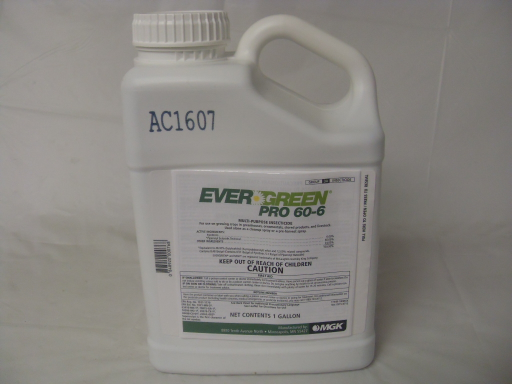 Evergreen Pro 60-6 Pyrethrin Insecticide - Pt - Gallon